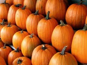 Foto Noticia Alimentos de invierno contra infecciones